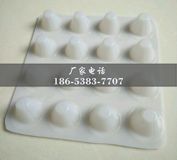 排水板廠(chǎng)家http://www.sdkuangcheng.com/