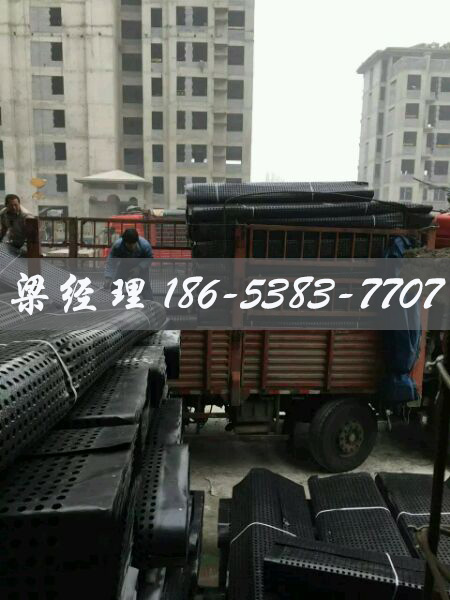 排水板廠(chǎng)家http://www.sdkuangcheng.com/